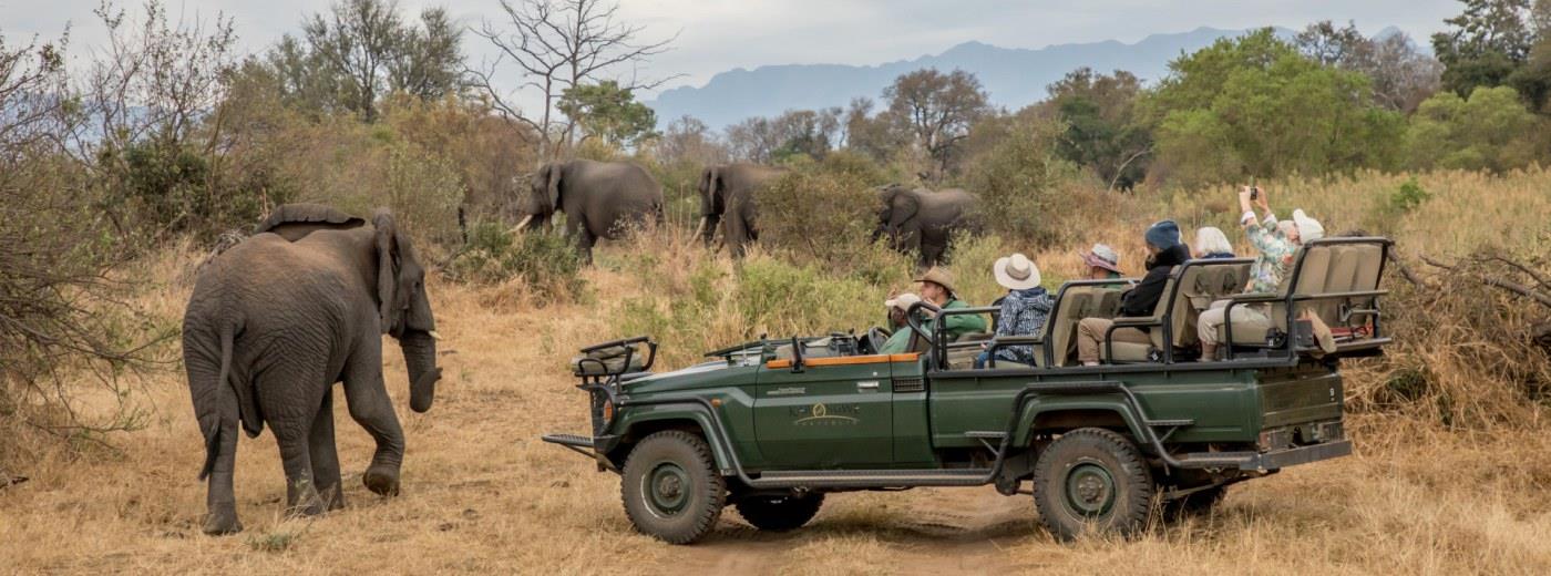 Budget African Safari
