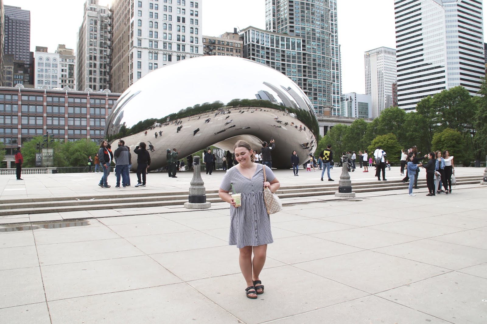Chicago travel guide