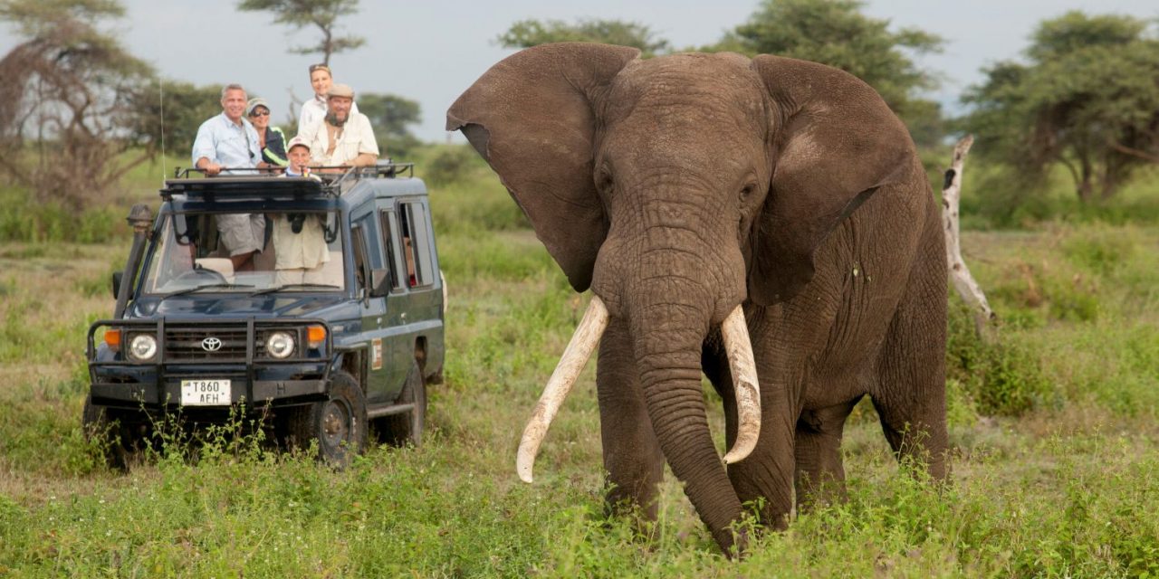 best African countries for safari