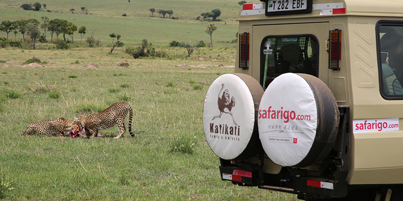 Tanzania safari tips