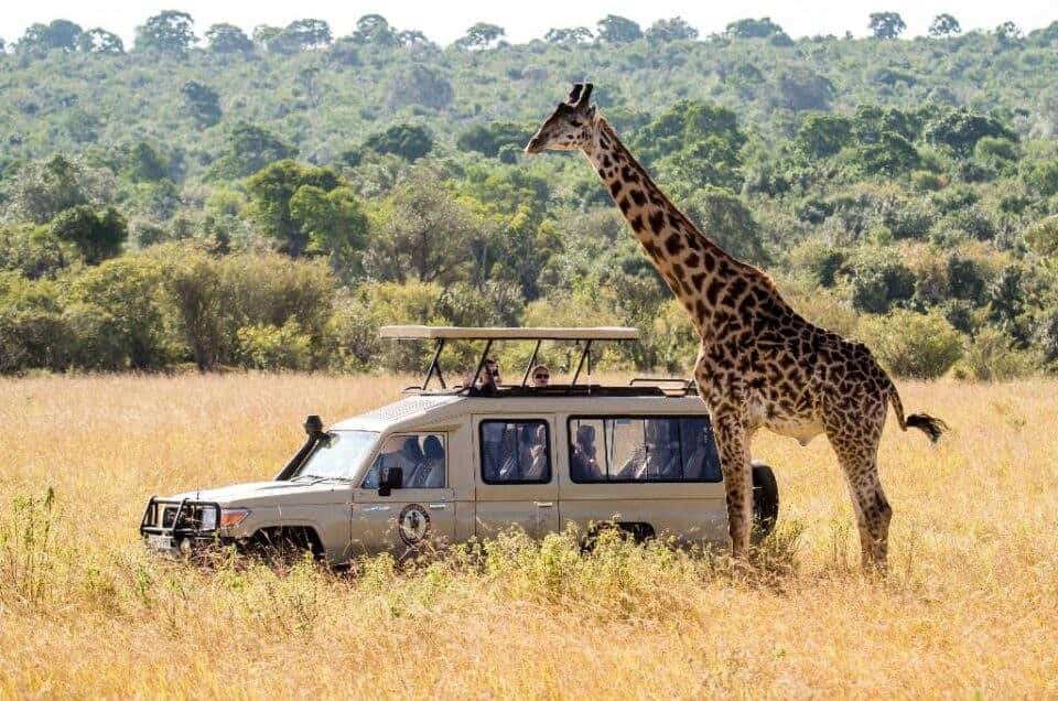 Africa beyond safari packages